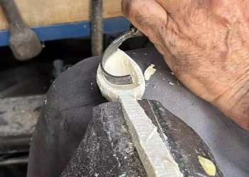 Televizyonda Gördü, Hayatına Dokundu: 22 Yıldır Ağaç Oyuyor