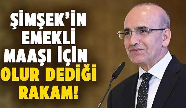 Emekli Maaşlarında Yeni Dönem: Sistem Baştan Yazılıyor